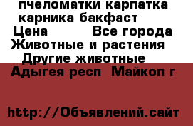 пчеломатки карпатка карника бакфаст F-1 › Цена ­ 800 - Все города Животные и растения » Другие животные   . Адыгея респ.,Майкоп г.